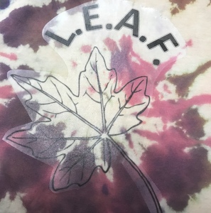 Team Page: L.E.A.F. (League of Extraordinary Accurate Fixers)